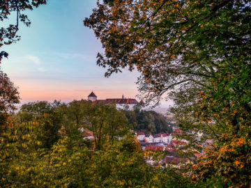 Blick auf Schloss Wörth und Stadtkern mit herrlichem Abendhimmel und Baum im Vordergrund.