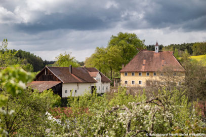 Kunstschaulager Adlmannstein im alten Schloss.