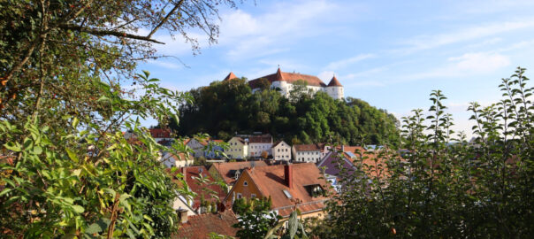 Blick auf Schloss Wörth a.d.Donau und die Stadt von der Pestkapelle aus.