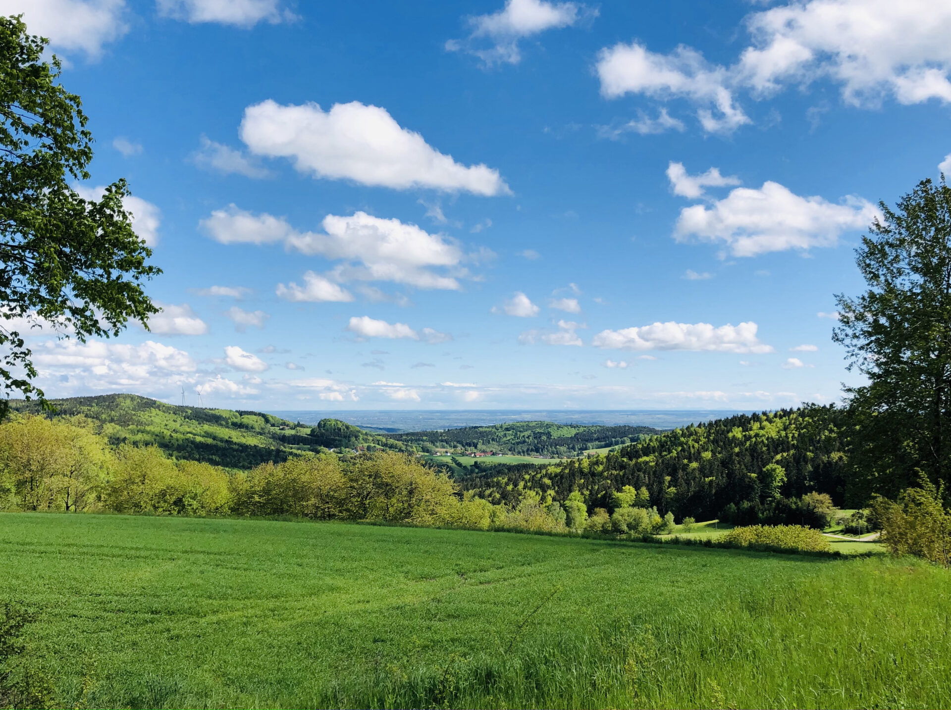 Sattgrüne Wiese in einem Tal mit Blick in die hügelige Landschaft mit blauweißem Himmel.
