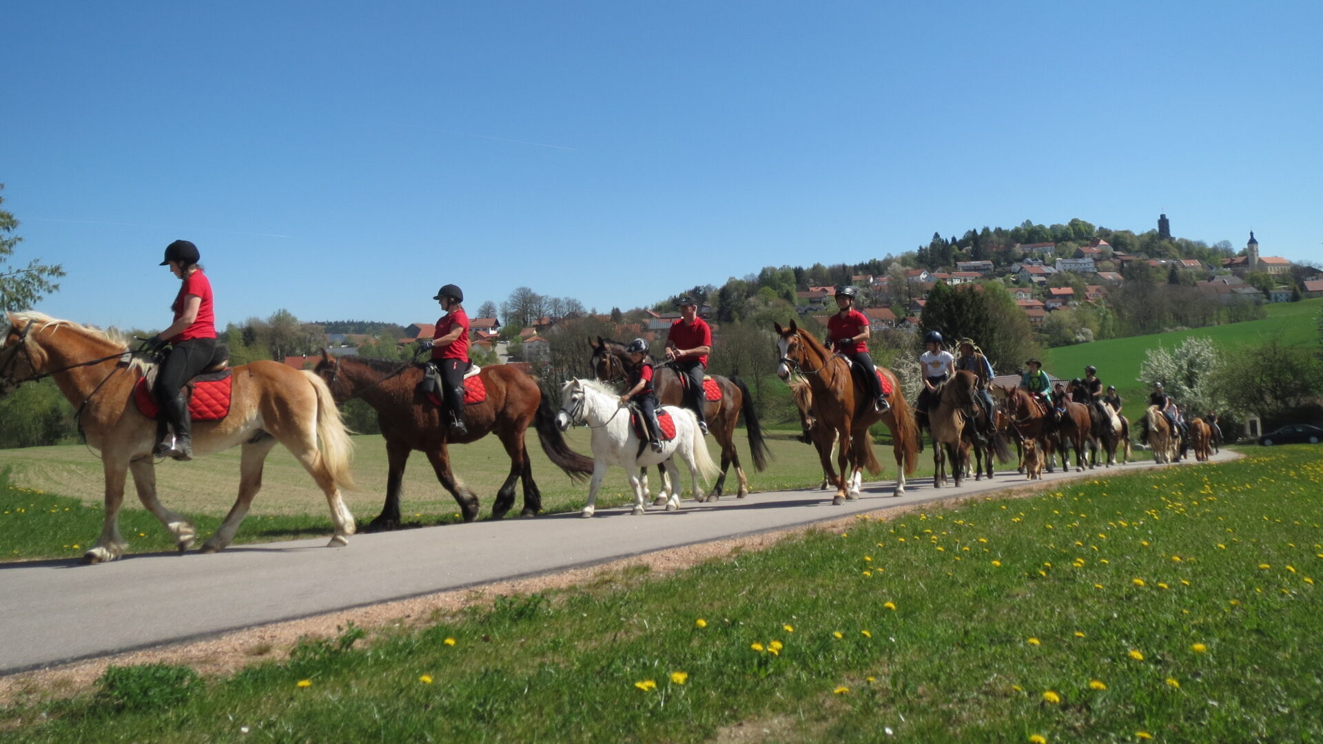 Reihe von Reitern in der Landschaft rum um Brennberg beim Georgiritt.
