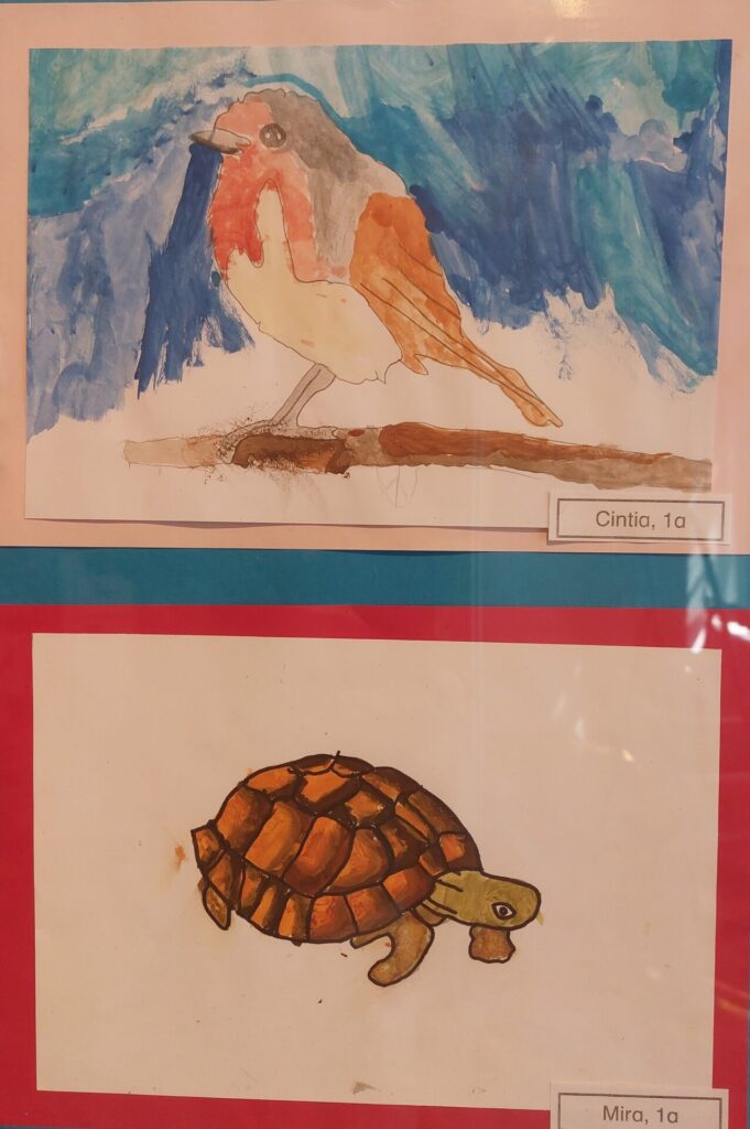 Vogel und Schildkröte - Bilder aus der Ausstellung im Hudetzturm Wiesent