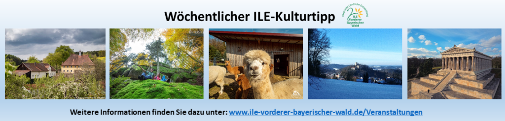 Bildercollage zu Veranstaltungen