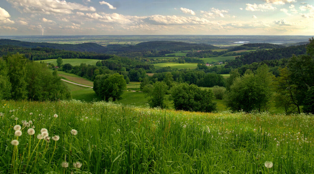 Vorwaldlandschaft mit Hügeln, Tälern und vielen Ausblicken.
